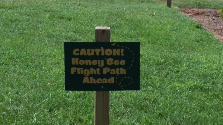 Honey Bee Flight Path.jpg