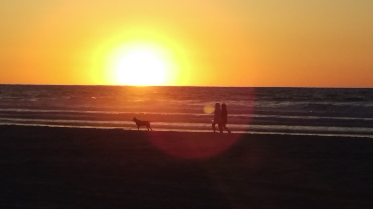 Couple and dog walking at sunset